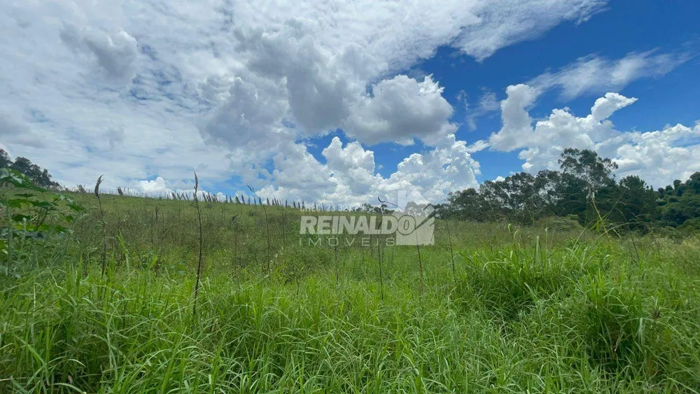 Sítio, 1 quarto, 25 hectares - Foto 25