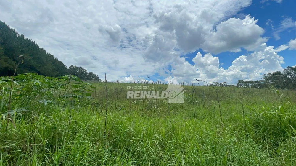 Sítio, 1 quarto, 25 hectares - Foto 24