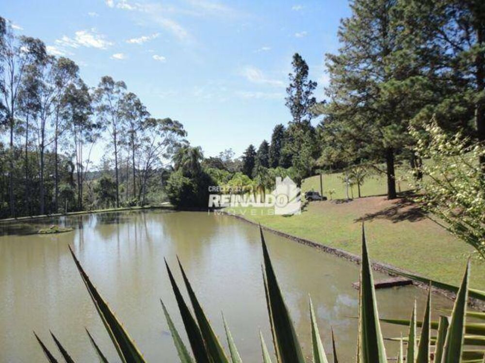 Sítio, 6 quartos, 7 hectares - Foto 4