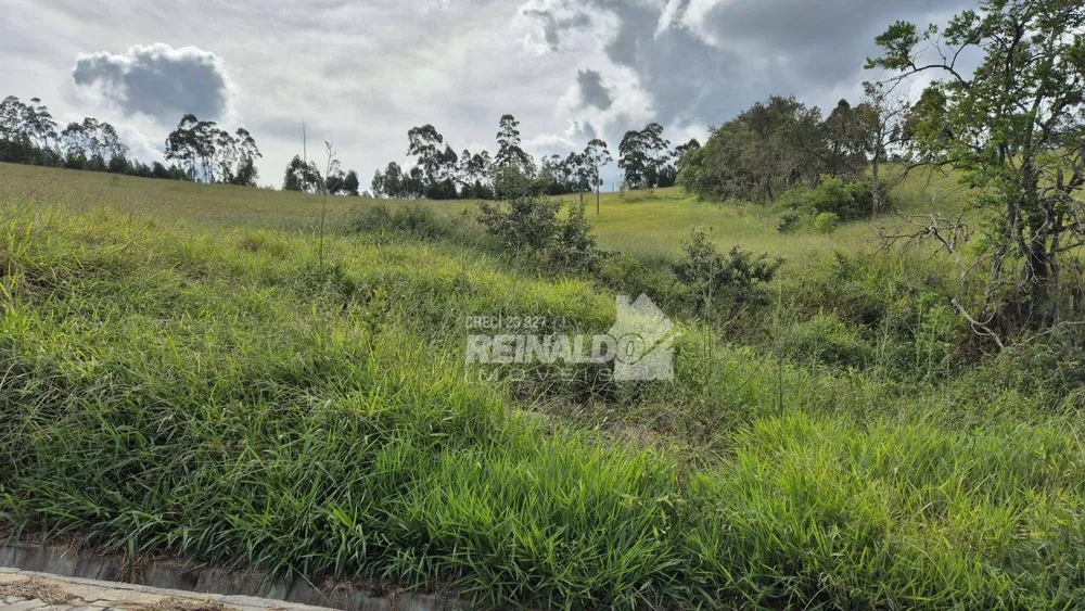 Loteamento e Condomínio, 2 hectares - Foto 8