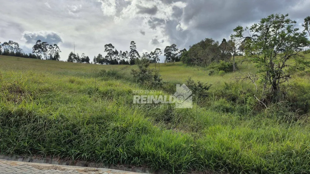 Loteamento e Condomínio, 2 hectares - Foto 2