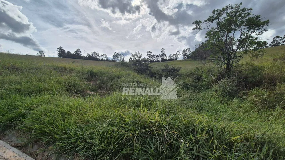 Loteamento e Condomínio, 2 hectares - Foto 4