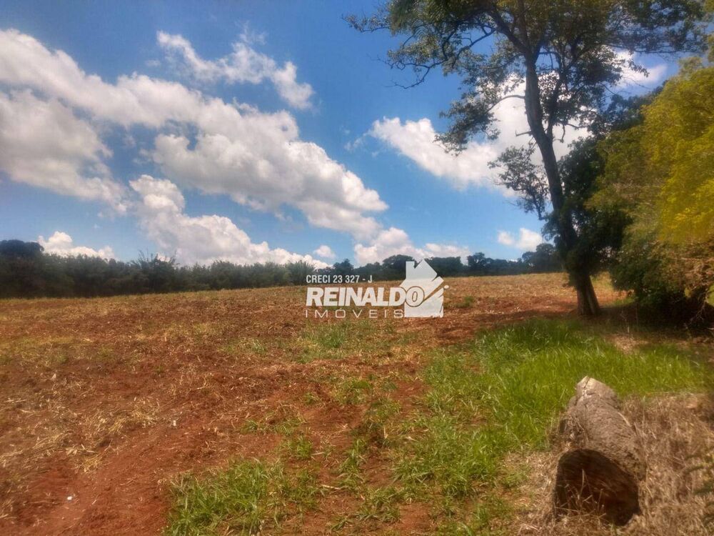 Fazenda, 14 hectares - Foto 16