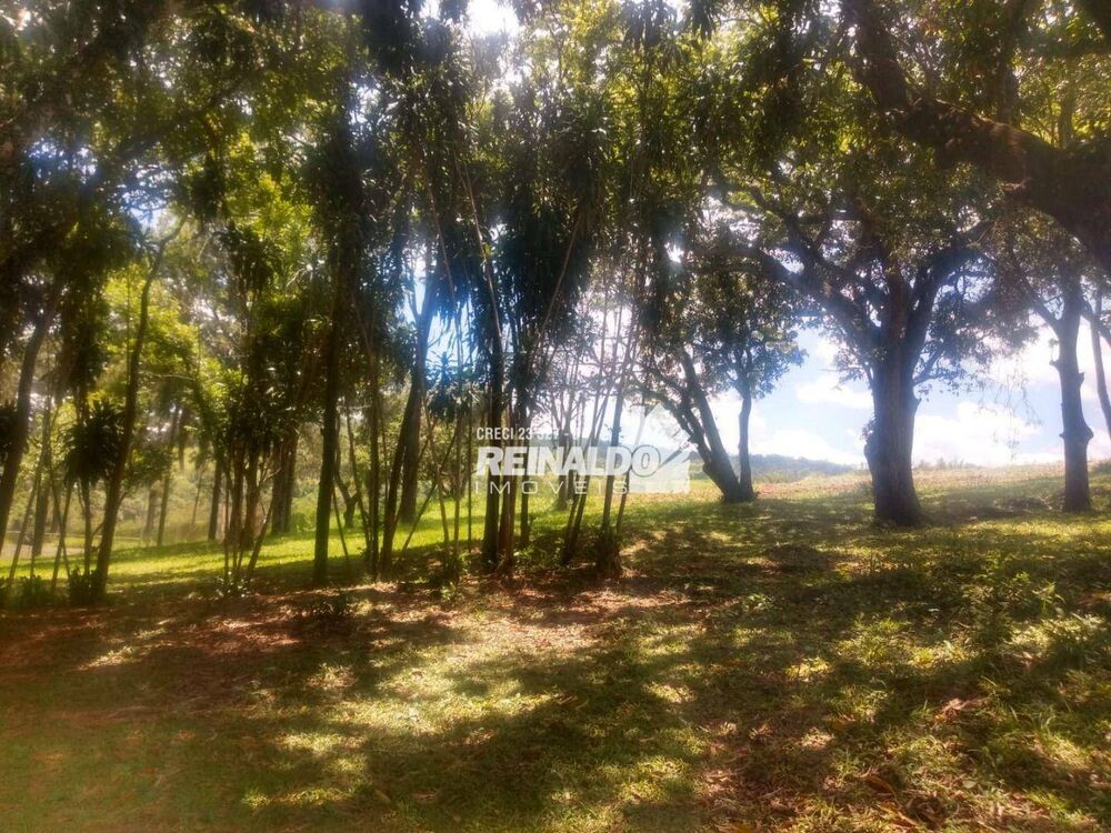 Fazenda, 14 hectares - Foto 15