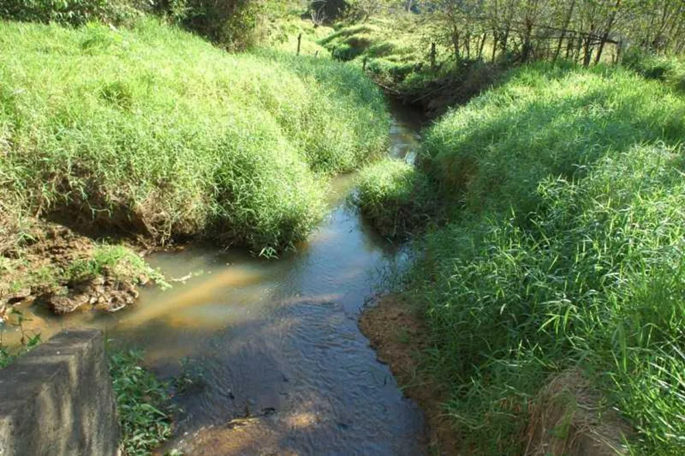 Fazenda, 14 hectares - Foto 4