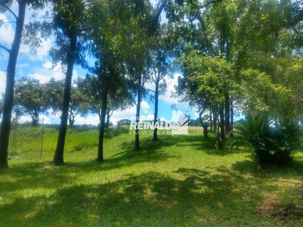 Fazenda, 14 hectares - Foto 17