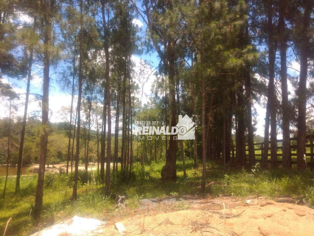 Fazenda, 14 hectares - Foto 8