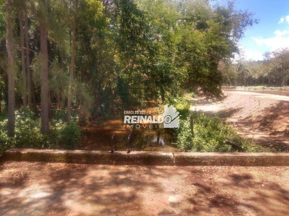 Fazenda, 14 hectares - Foto 10