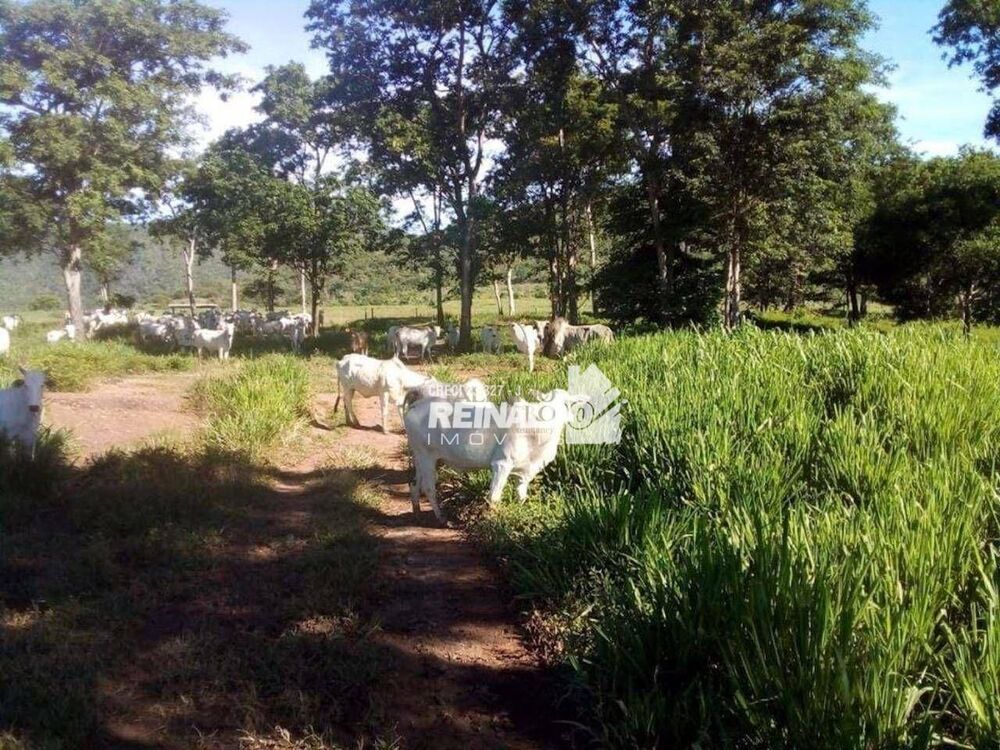 Fazenda à venda com 1 quarto, 1540m² - Foto 9