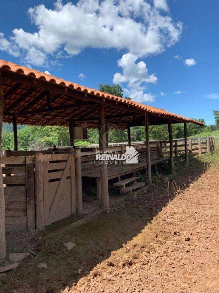 Fazenda à venda com 1 quarto, 1540m² - Foto 6