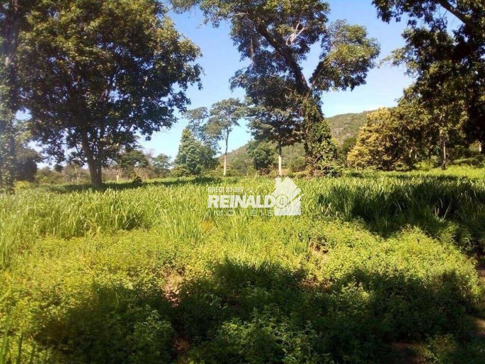 Fazenda à venda com 1 quarto, 1540m² - Foto 10