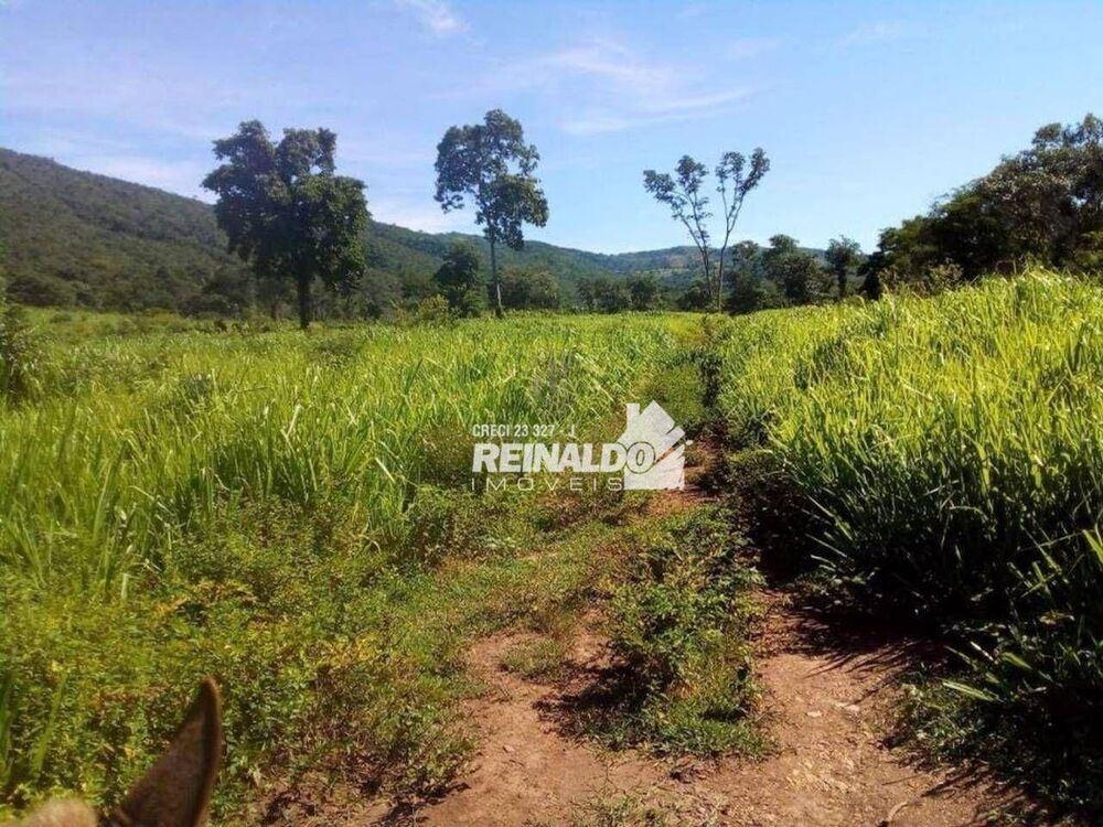 Fazenda à venda com 1 quarto, 1540m² - Foto 11