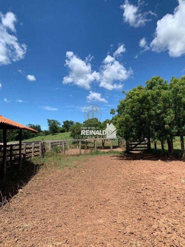 Fazenda à venda com 1 quarto, 1540m² - Foto 7