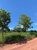 Fazenda, 1540 hectares - Foto 2