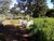 Fazenda, 1540 hectares - Foto 9