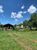 Fazenda, 1540 hectares - Foto 8