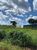 Fazenda, 1540 hectares - Foto 3