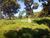 Fazenda, 1540 hectares - Foto 10