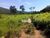 Fazenda, 1540 hectares - Foto 11