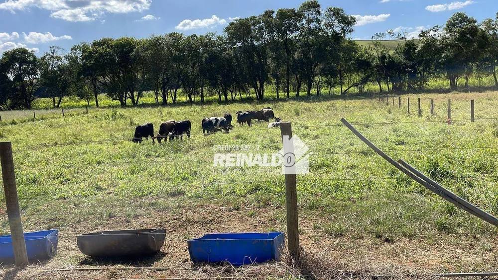 Sítio, 2 quartos, 8 hectares - Foto 3