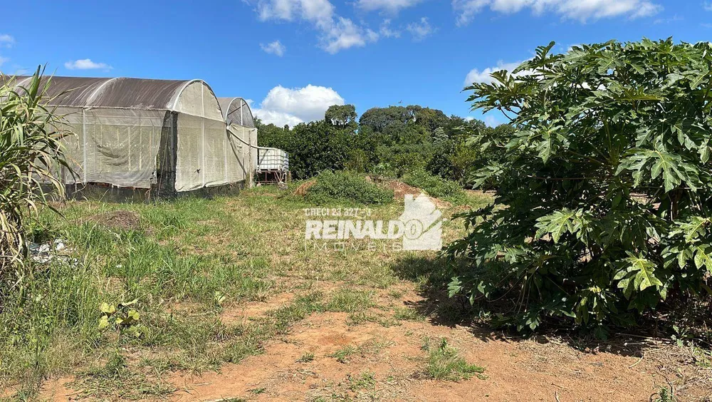 Sítio, 2 quartos, 8 hectares - Foto 4