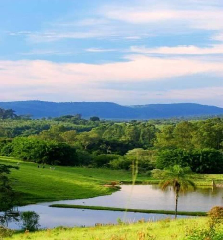 Loteamento e Condomínio, 381 m² - Foto 6