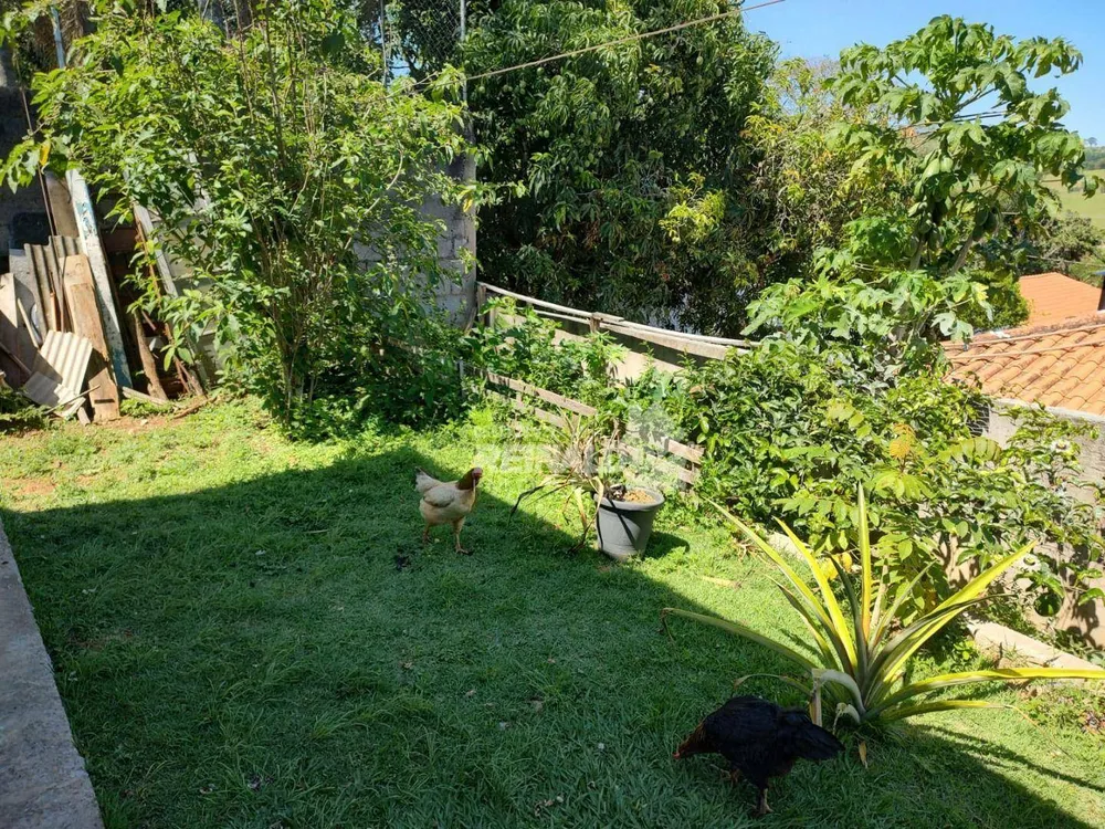 Chácara, 3 quartos, 1000 m² - Foto 10