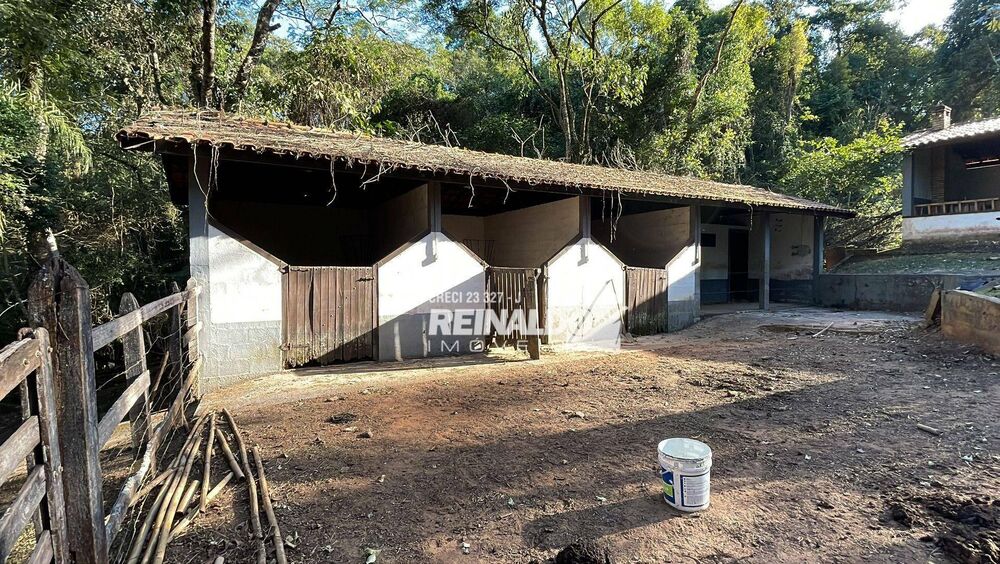 Sítio, 10 quartos, 3 hectares - Foto 8