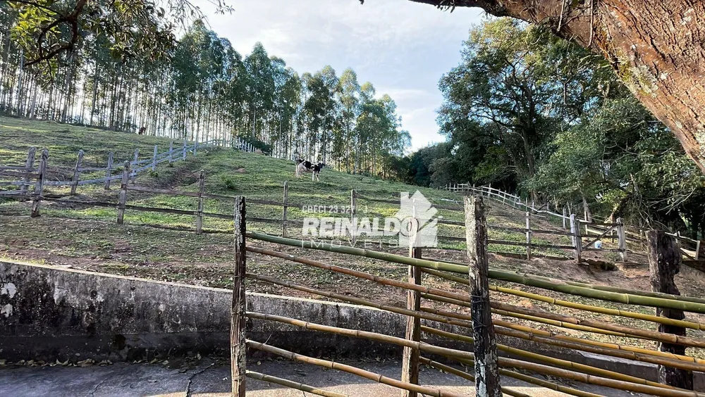 Sítio, 10 quartos, 3 hectares - Foto 13