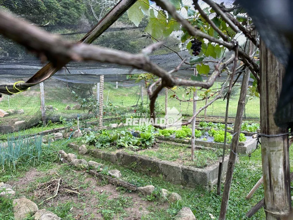 Sítio, 9 quartos, 15 hectares - Foto 16