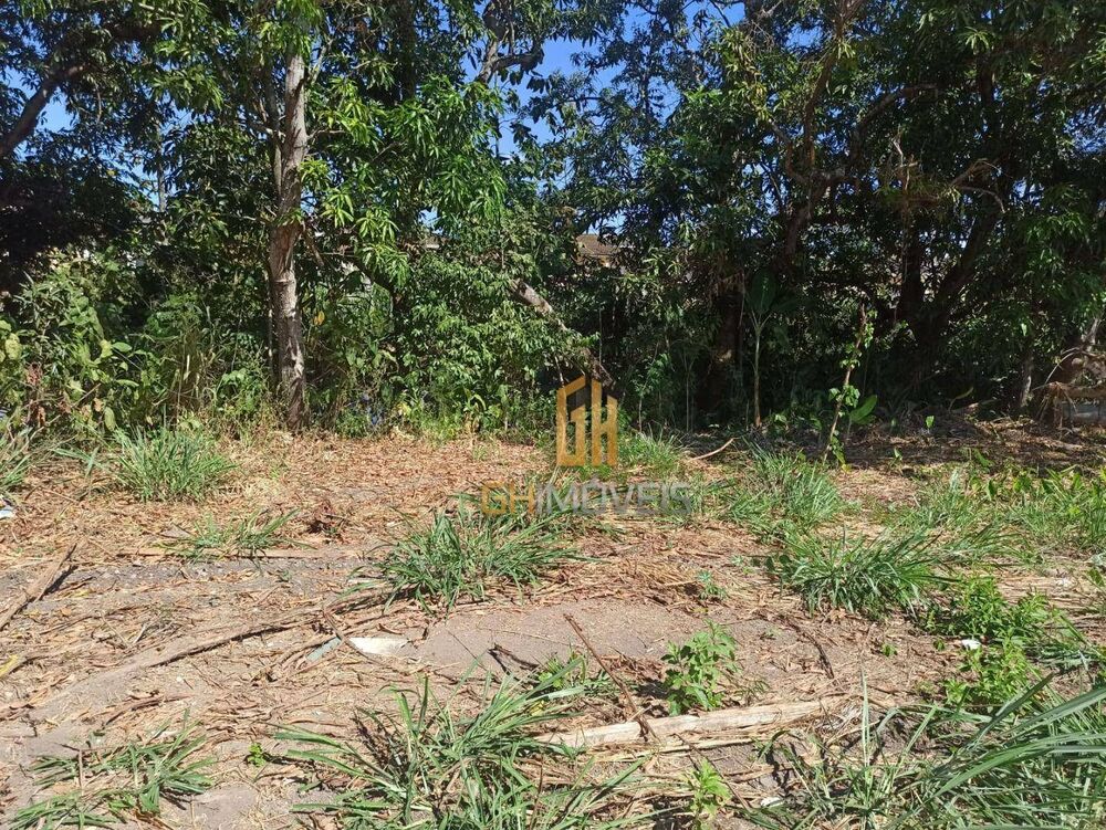 Terreno, 8181 m² - Foto 2