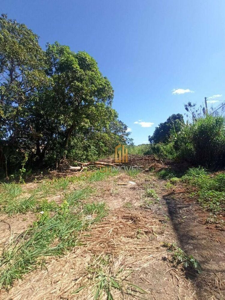 Terreno, 8181 m² - Foto 3