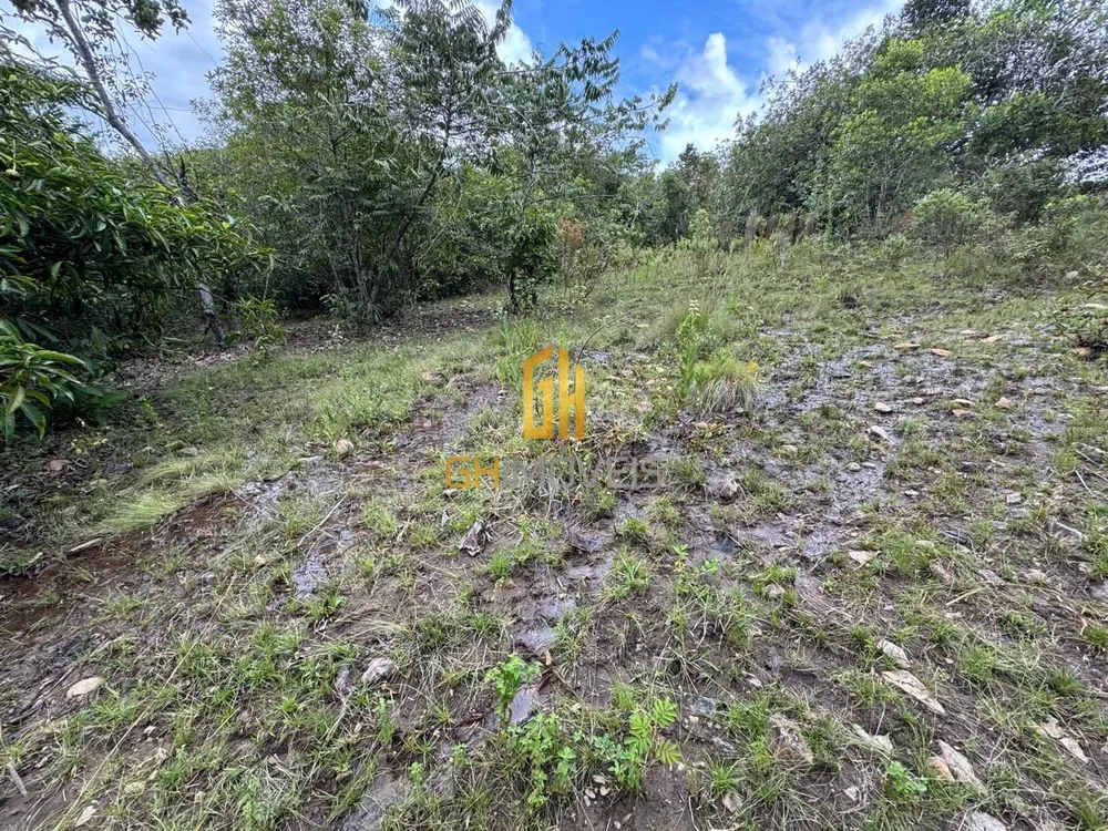 Chácara, 5 hectares - Foto 4