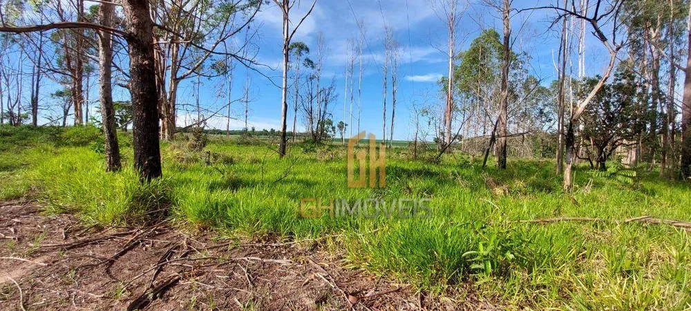 Fazenda, 6 hectares - Foto 4