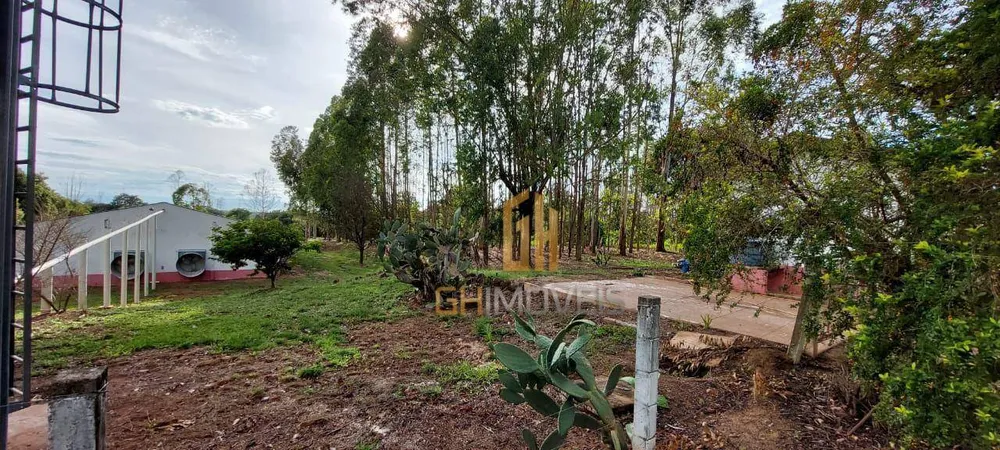 Fazenda, 6 hectares - Foto 1