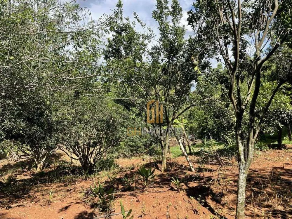 Chácara, 2 quartos, 2910 m² - Foto 1