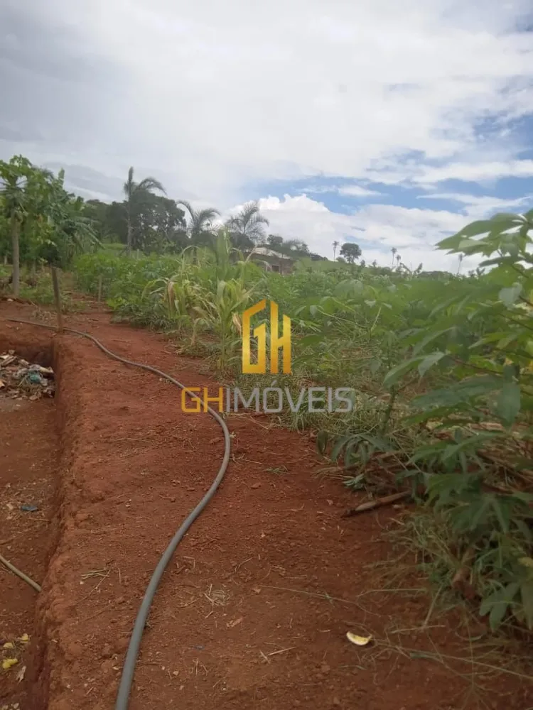 Chácara, 3 quartos, 4500 m² - Foto 3