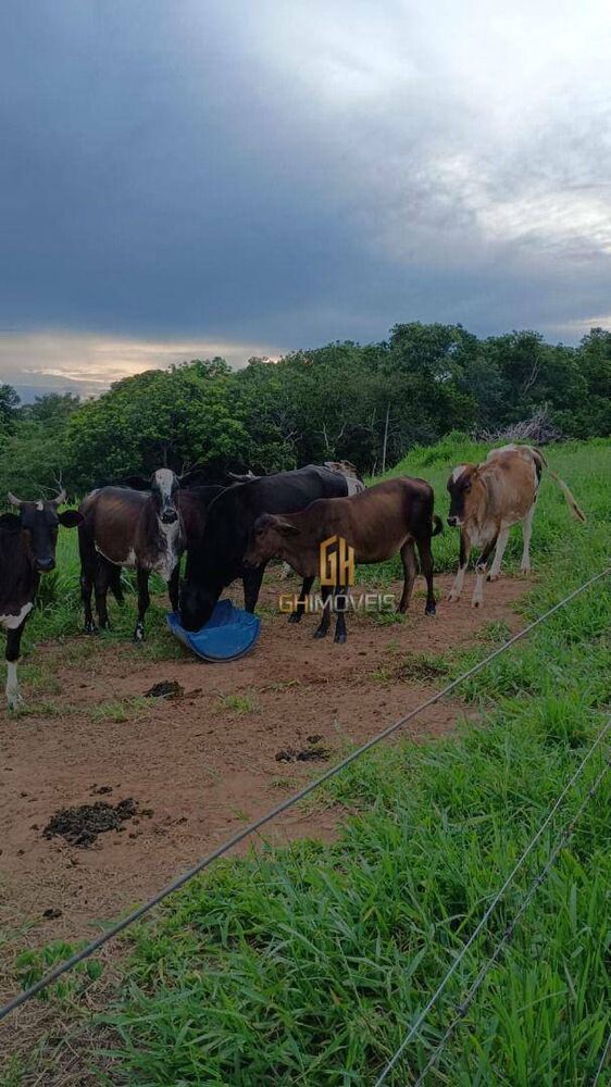 Chácara, 12 hectares - Foto 2