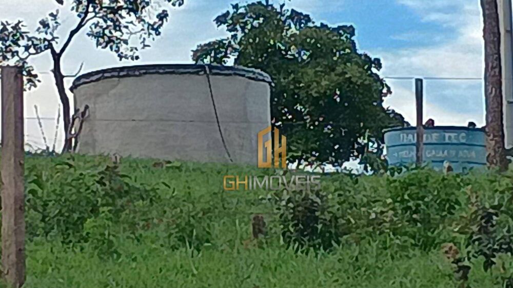 Chácara, 12 hectares - Foto 4