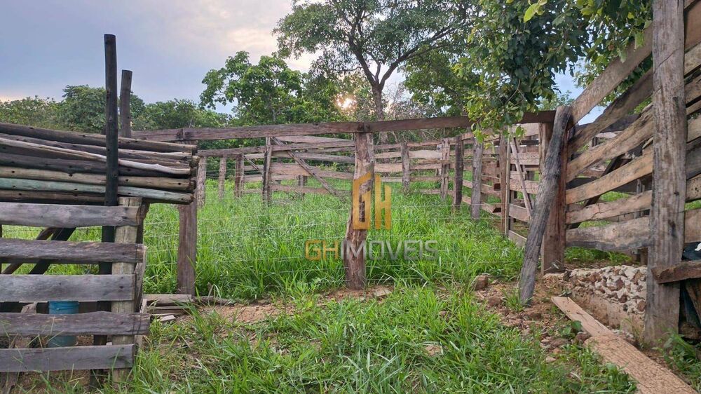 Chácara, 12 hectares - Foto 1