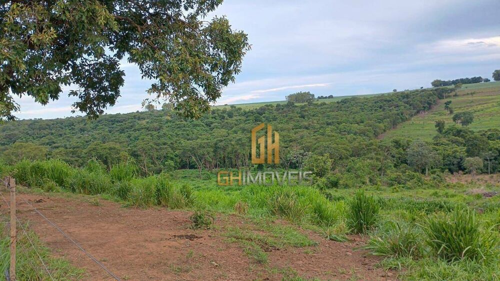 Chácara, 12 hectares - Foto 3