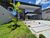 Casa, 3 quartos, 200 m² - Foto 1