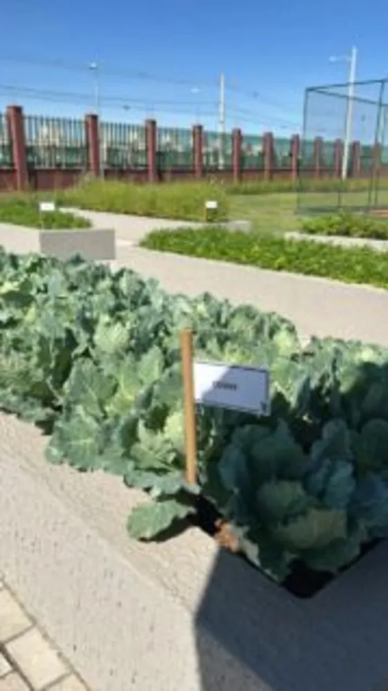 Sobrado, 4 quartos, 180 m² - Foto 3