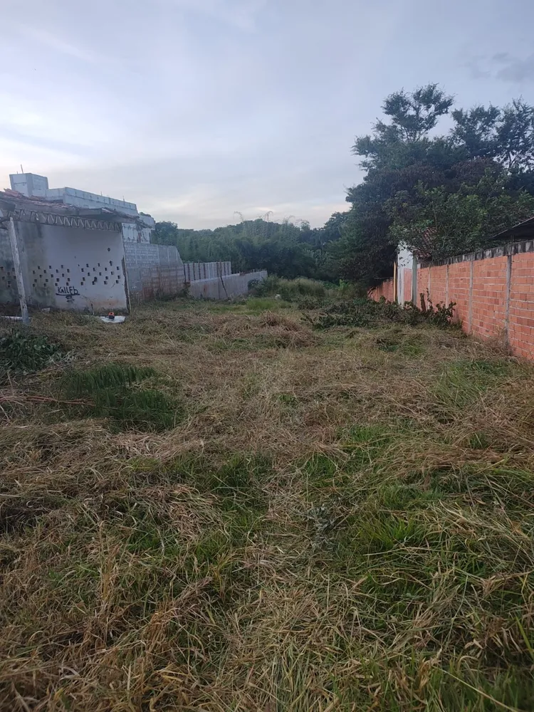 Terreno, 3120 m² - Foto 3