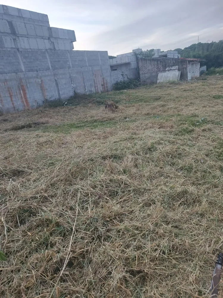 Terreno, 3120 m² - Foto 2