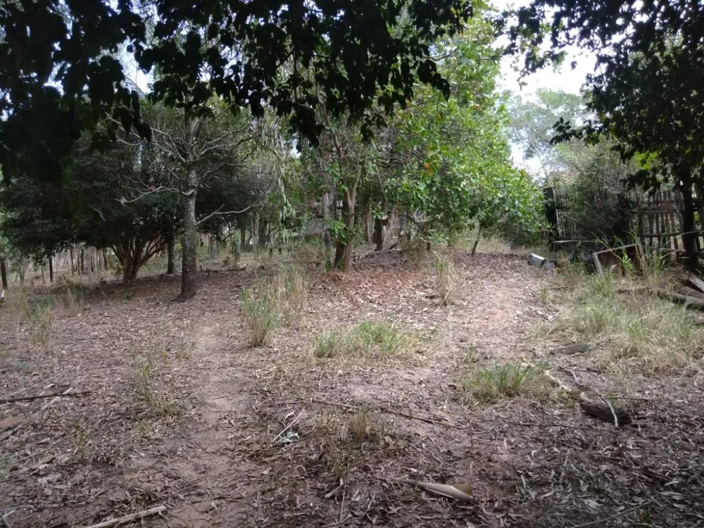 Chácara - Foto 5