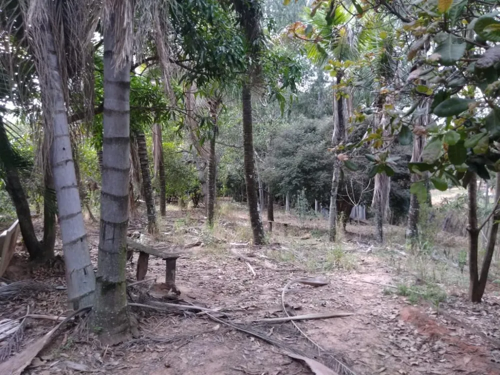Chácara - Foto 3