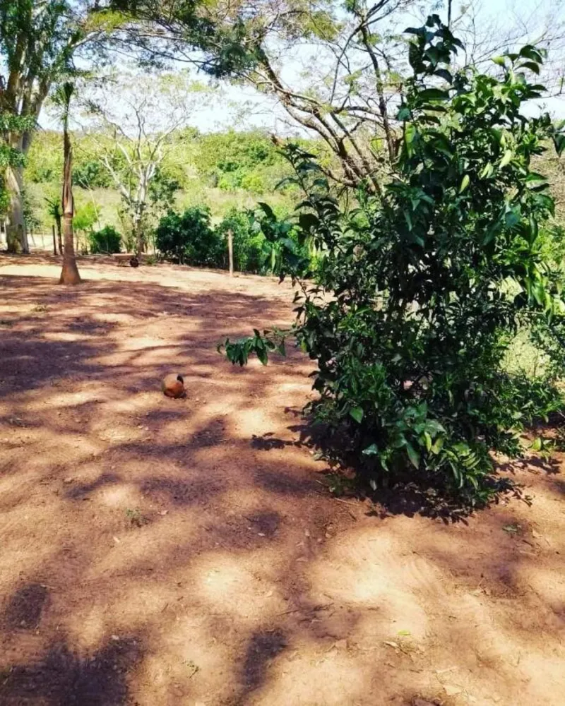 Loteamento e Condomínio, 1708 m² - Foto 6