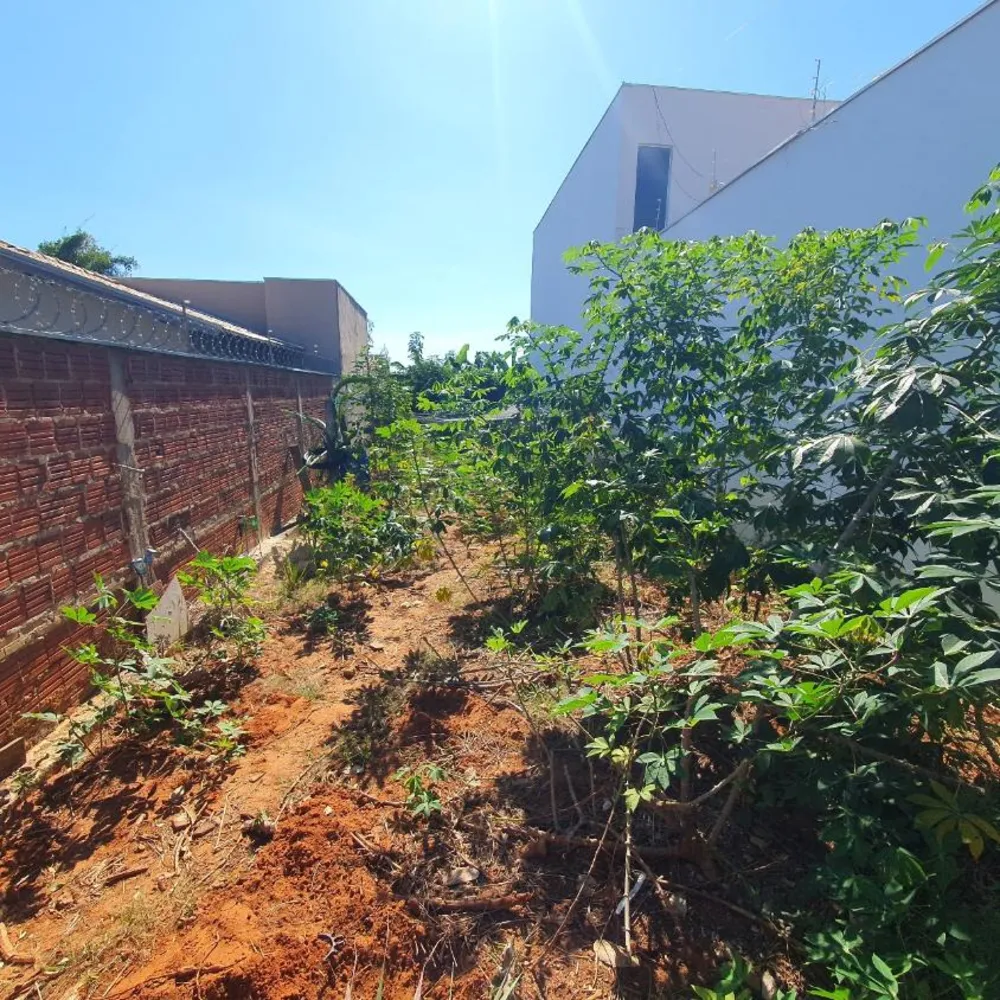 Terreno, 150 m² - Foto 2