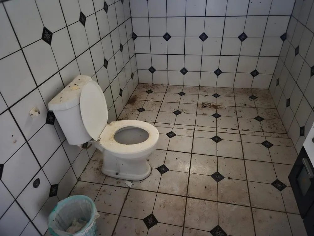 Sítio - Foto 5